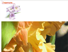 Tablet Screenshot of gladiolus.kanaris.ru